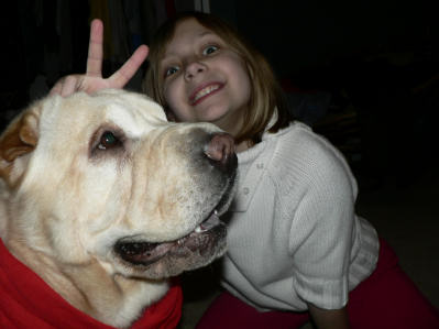 Chinese Shar Pei Pictures - Duncan