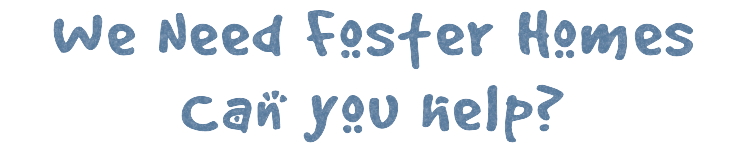 Foster