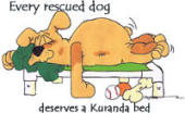 Donate a Bed to Shar-Pei Rescue