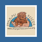 Shar-Pei Rescue Pei Shop