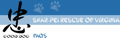 Shar-Pei Rescue