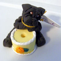 Cecile Baird Shar-Pei Birthday