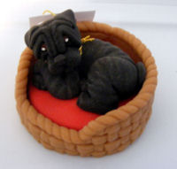 Cecile Baird Shar-Pei in Bed