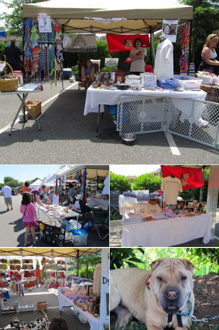 Shar-Pei Rescue Events