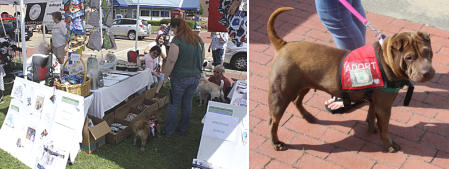 Shar-Pei Rescue Events