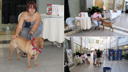 Shar-Pei Rescue Events
