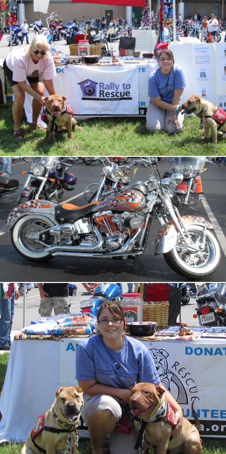 Shar-Pei Rescue Events