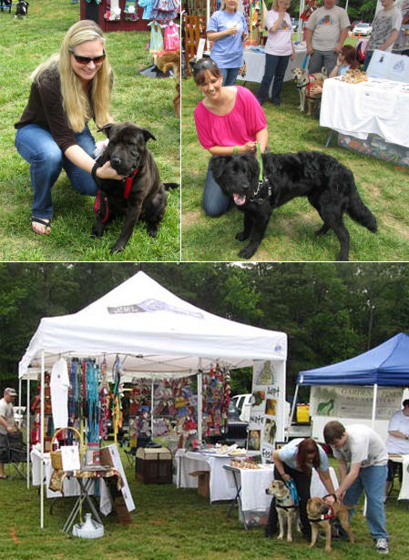 Shar-Pei Rescue - K9 Karnival