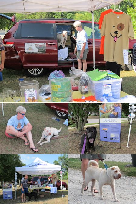 Shar-Pei Rescue - Second Chance Pet Adoption Day