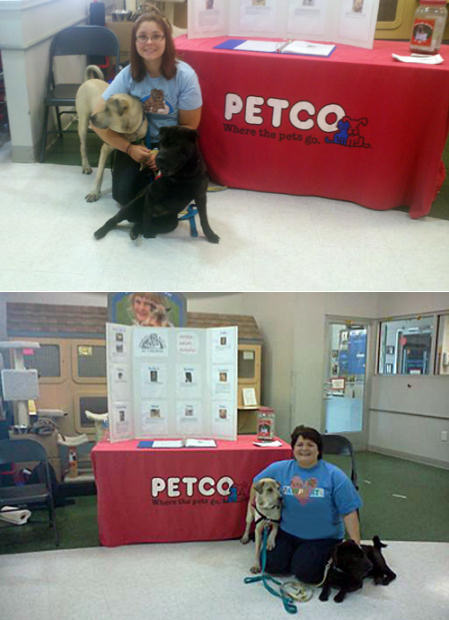 Shar-Pei Rescue - Petco