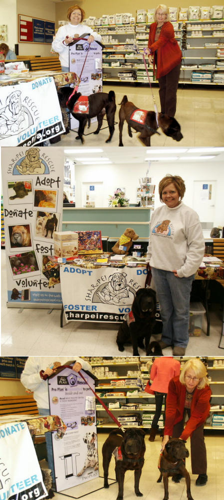 Shar-Pei Rescue Events