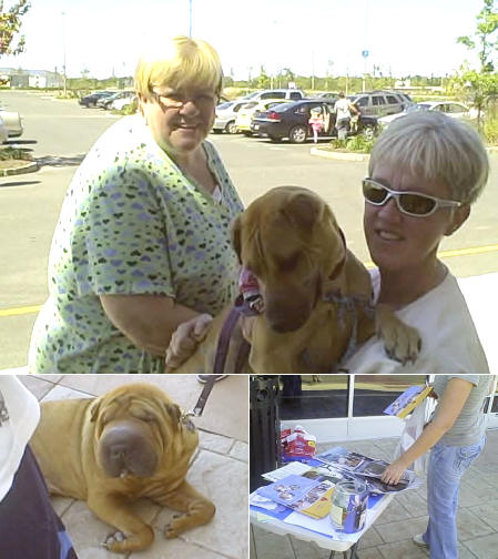 Shar-Pei Rescue Events