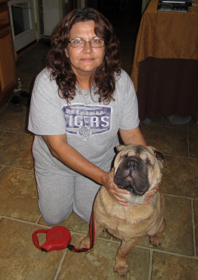 Chinese Shar Pei Pictures - Champ