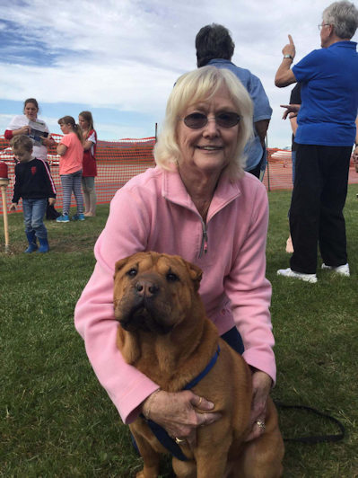 Chinese Shar-Pei Prince