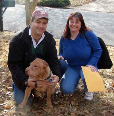 Chinese Shar Pei Pictures - Ronnie